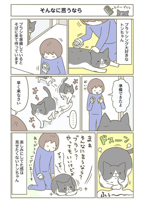 58%OFF!】 うちの猫がまた変なことしてる 6 sogelec.re
