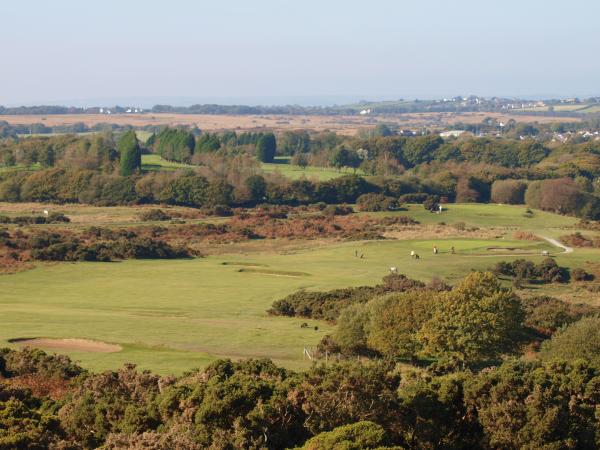 LanglandProShop's tweet photo. Great to see @ClyneGolfClub open with no restrictions today #buggieson #drycourse #18greens #wintergolf #getitwhyyoucan #golf #swansea #whynot https://t.co/zrRZNLCB0G