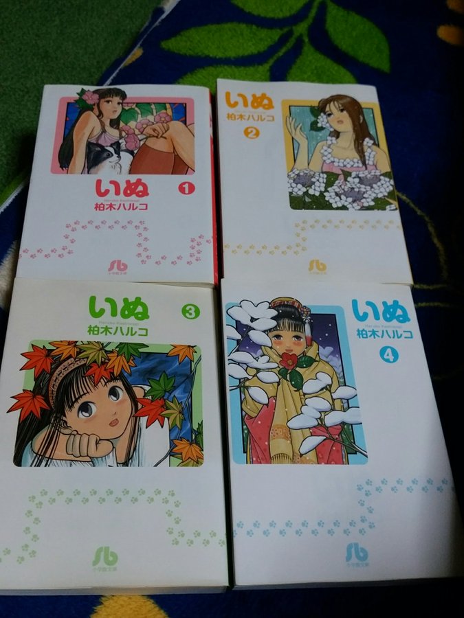 柏木ハルコ 漫画家 まとめ 手がけた作品などの経歴は 病気の噂も調査 女性が映えるエンタメ ライフマガジン