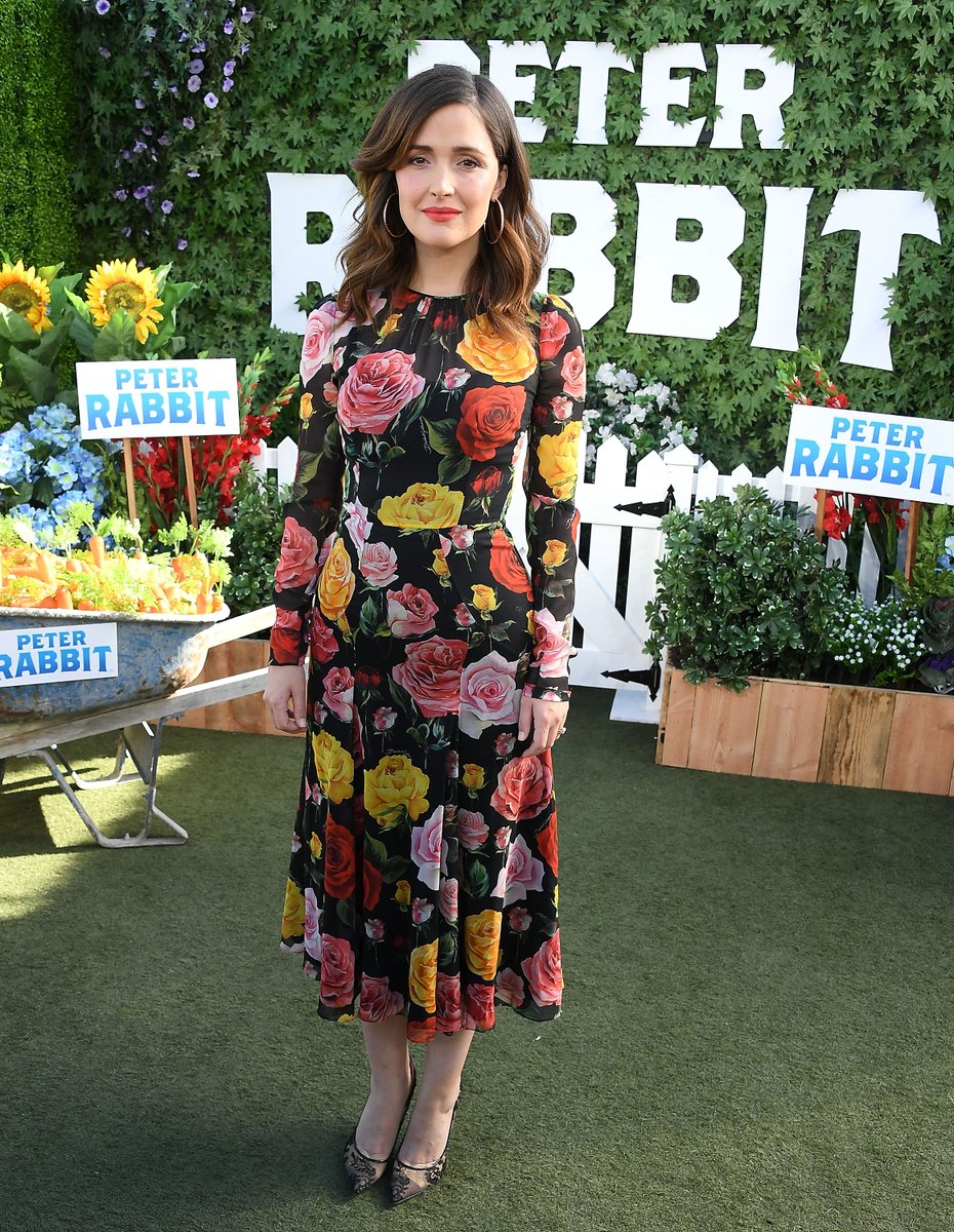 Twitter Rose Byrne nude photos 2019 Twitter Rose Byrne nude photos 2019