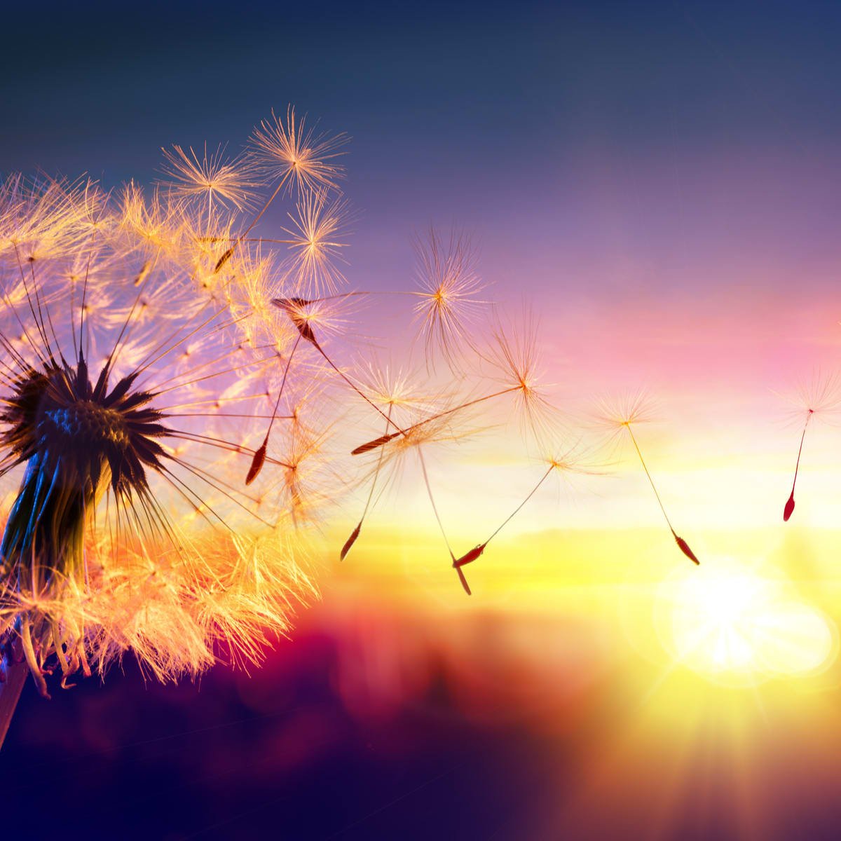 atlascredit's tweet photo. If I could wish one thing for my new year it would be __________? https://t.co/nLrjTfpveo
