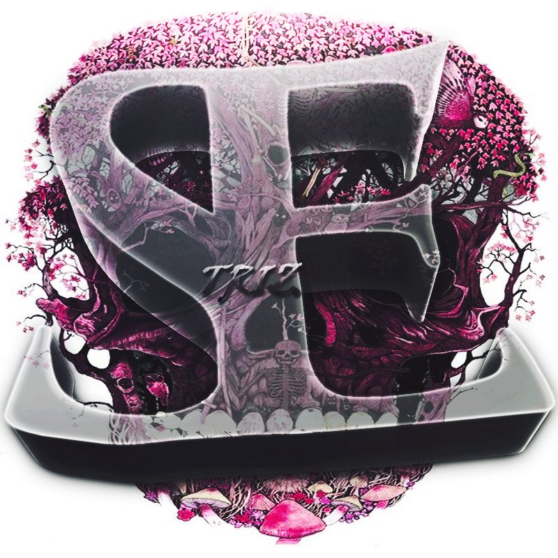 elevensnipin's tweet image. Welcome our new three new fellas in the fucking team! @lN7VR @DIMENTIA__ nd @TheXanxiety