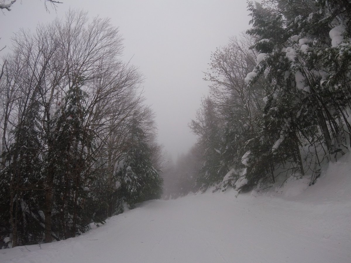 Tremblant_ski's tweet photo. Another top up of fresh snow this morning. All 96 trails are open. Visibility will be minimum. Have fun and let the trees guide you. ❄️🌲 https://t.co/c29nq7zZ5U