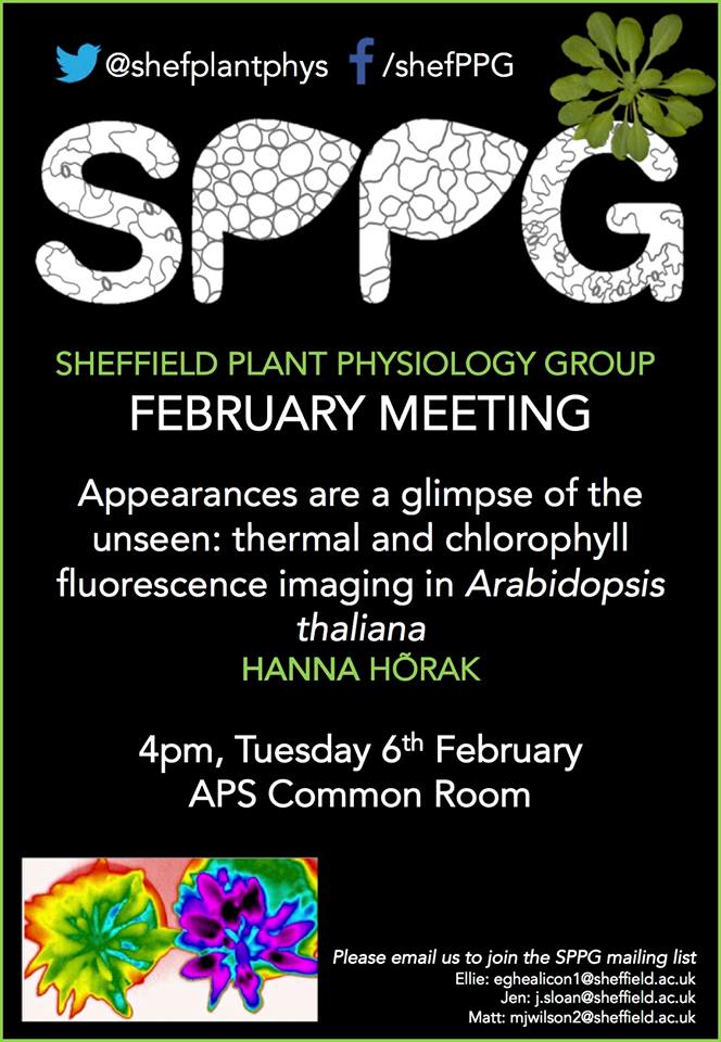 TODAY!
Hanna Hõrak - Chlorophyll fluorescence and thermal imaging of Arabidopsis - 4pm D Floor Common Room