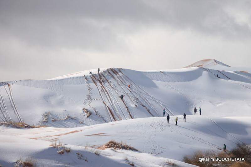 Discover_DZ's tweet photo. Encore des chutes de neige à Aïn Sefra au sud algérien ce matin ! 🐪❄ #Algérie #Alger #Algeria #Algiers #Travel #NaturePhotography #NatureIsBeautiful #Tourisme #Voyage #paysage #montagne #Tourism #DiscoverAlgeria #Nature #Discover #Photography #Picture #Snow #Sahara #الجزائر https://t.co/HcIZo0rq98