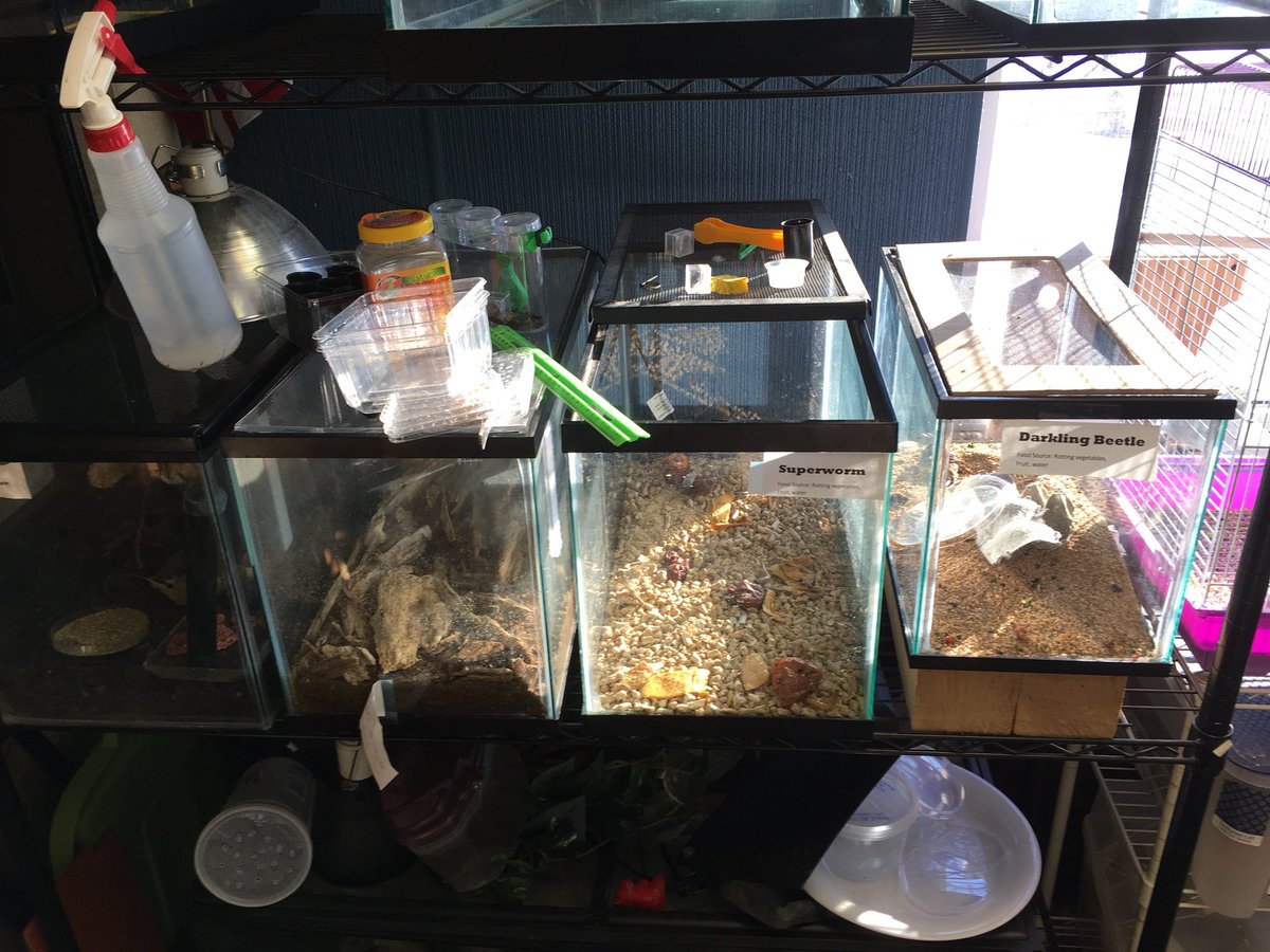 DrLesSharon's tweet photo. The Carbon-based STEM room at Dieck Elementary. Just incredible! https://t.co/DQ2G5UcbVd