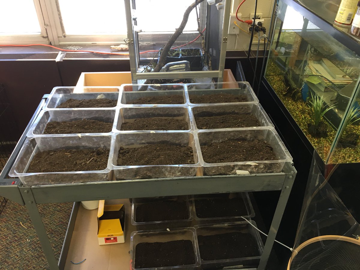 DrLesSharon's tweet photo. The Carbon-based STEM room at Dieck Elementary. Just incredible! https://t.co/DQ2G5UcbVd