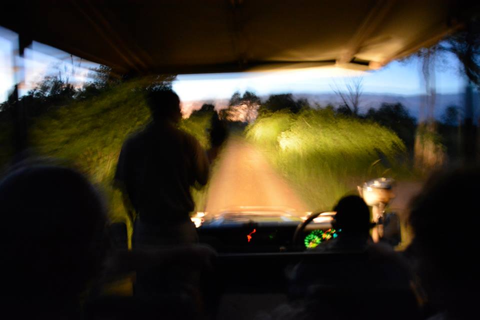 What a night drive feels like after a few too many G&amp;Ts? Photo by Mfuwe Lodge guest, Andy Brown.

bit.ly/2GTlN7o #Safari #Zambia #Travel