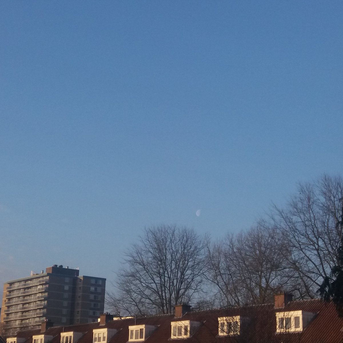 Sunny and cold day here have a Nice day everyone 🙋‍♀️😘☕😍💐😎🌗🌞❄