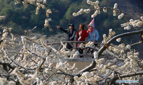 globaltimesnews's tweet photo. People enjoy flower blossoms across China https://t.co/AsC3jKxdzO https://t.co/P0KzquK1FB