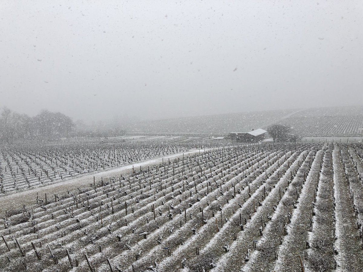Snow storm in Pauillac