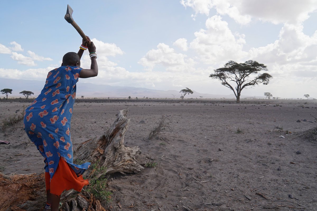 TriodosFndn's tweet photo. Verwoestijning beschadigt in hoog tempo het ecosysteem rondom de #Kilimanjaro. @EmbassyOTEarth wil de lokale #Masai helpen de #waterkringloop, en zo het #ecosysteem te herstellen. Help je mee? https://t.co/hLw8dqLY3B https://t.co/L542gM3AzZ