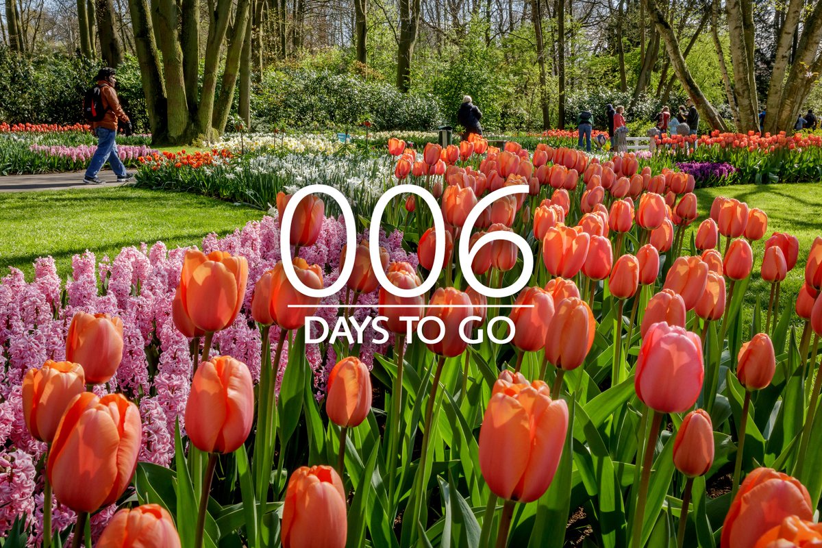 So excited... #COUNTDOWN