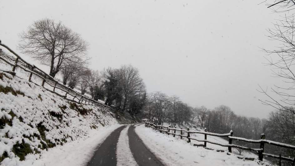 SAMUEL ROCA (@samrockf1) | Twitter