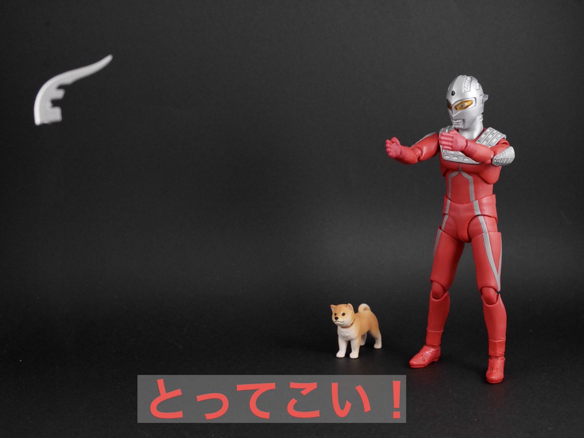 kissshot51's tweet photo. https://t.co/63wpWz5vLc