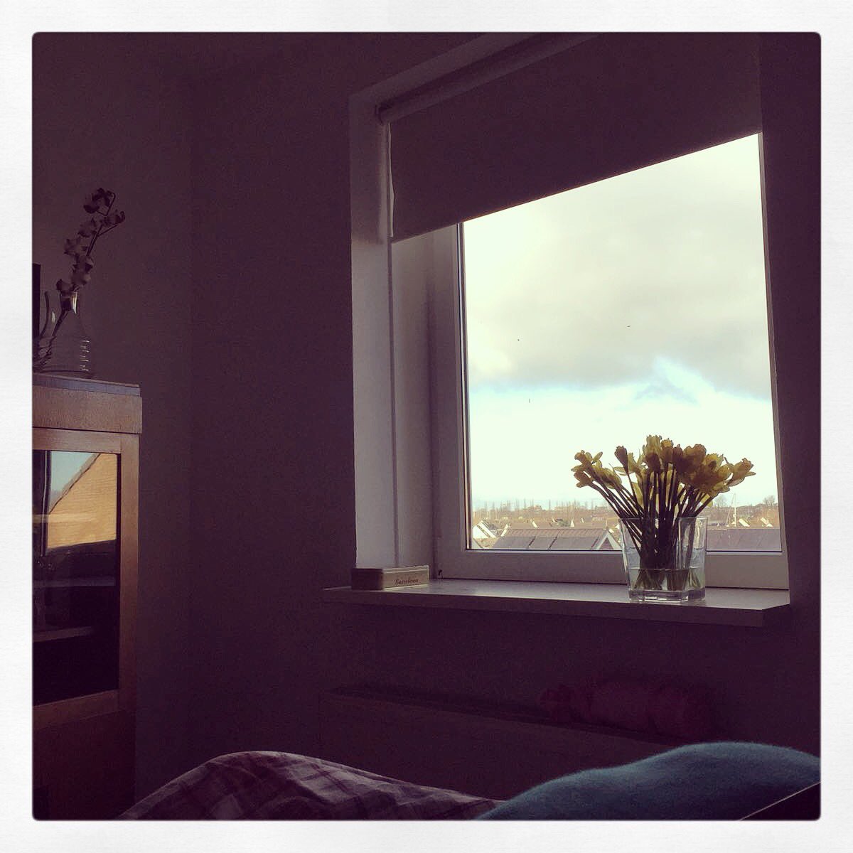 SjDepp's tweet image. Artviewer, the bedroom window is the only way out...when you’re sick....