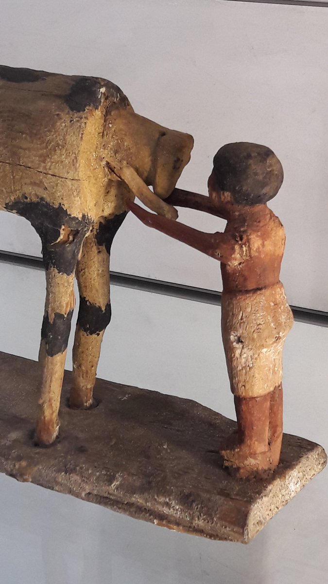 JeanMarcBECHE's tweet image. Déjà il y a 4000 ans, chez les égyptiens, une vache, un vélage, un éleveur...
Et déjà un artiste pour saisir l&apos;instant...
Et nous le transmettre !

&quot;Le velage&quot; sculpture en bois (Assiout, vers 1990 avant J-C) exposée au @mbalyon