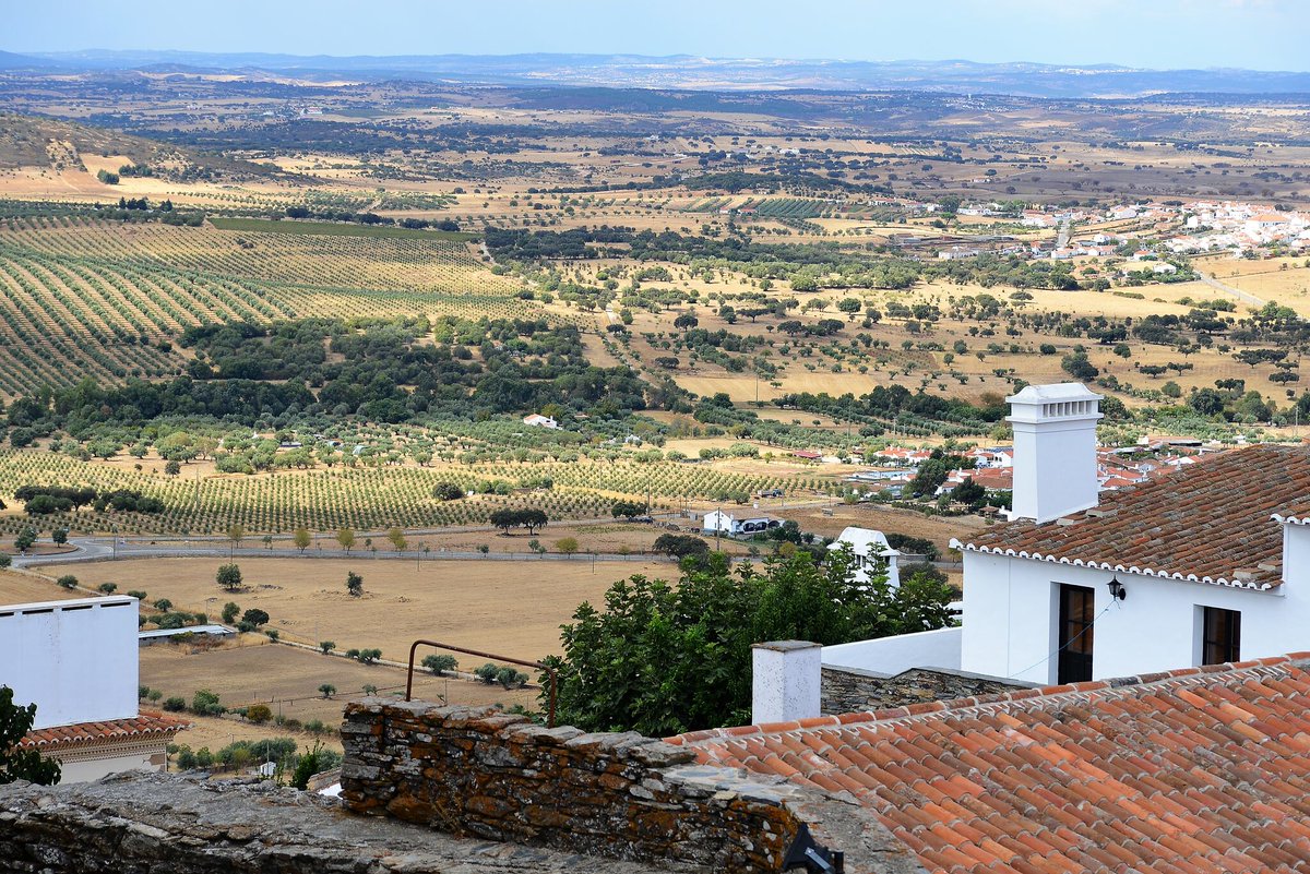 #TransformationTuesday Look out for these wine trends this year bit.ly/2nGlRiN This is the time of year when wine writers, exhausted from writing holiday bottle and gift recommendations 
#Luxuryliving #Follers #Sunshine  #Foodie #NewTrends #Drinking #Designwww.iimpact.tv