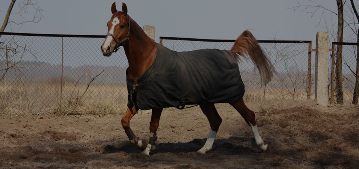 Horse Blanket Cleaning In Wiltshire, Same Day Service Available
Visit For More Details:
cleanmachinedrycleaners.co.uk/service/horse-…
#Horse_Blanket_Cleaning #Westbury #Wiltshire