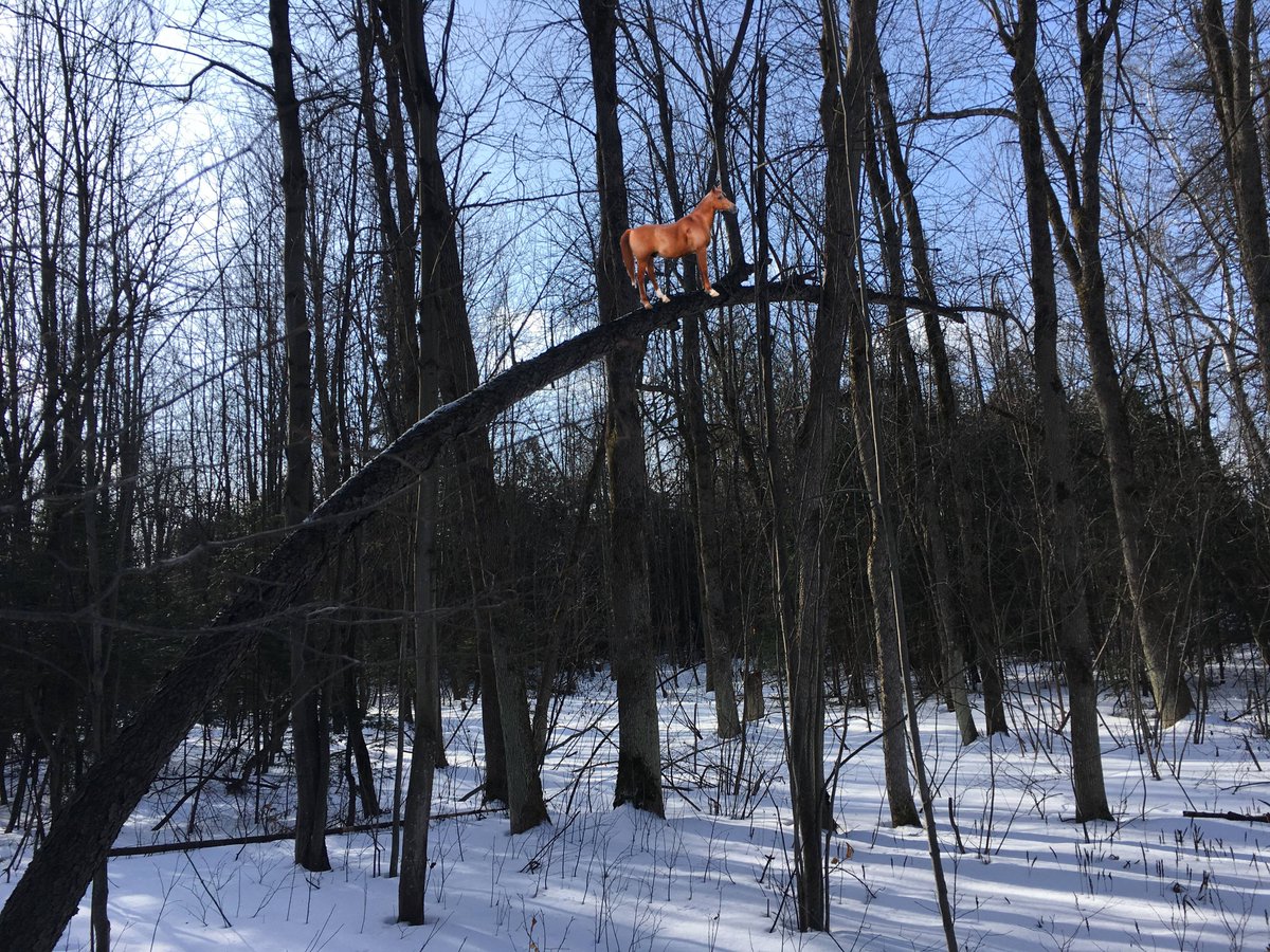 975juicefm's tweet photo. Jamieson here ~ @North_Grenville has a Winter Wonderland Photo Contest &amp; they're looking for your best pictures with the #NGTrailsWinterWonderland on FB &amp; Twitter. 
https://t.co/Ren5e0RlgV

Here are a few examples of pictures that WON'T win!!! https://t.co/5wMk6hViFl