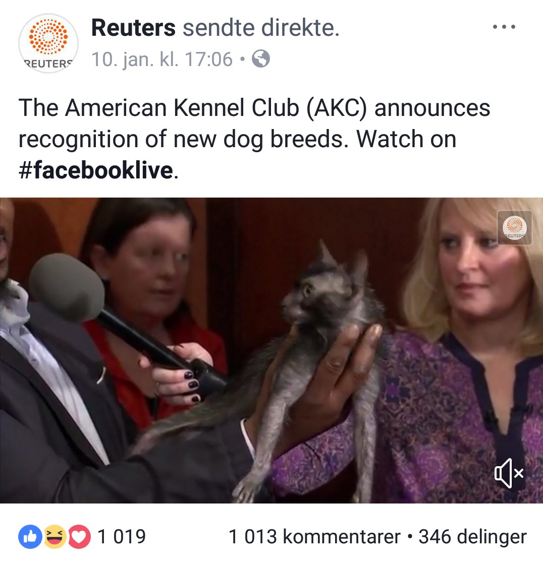 Noe sier meg at dette er #FakeNews.