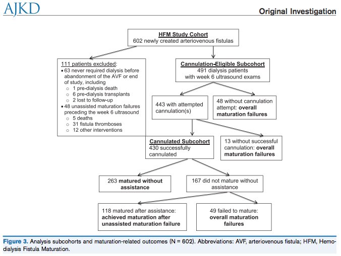 AJKDonline's tweet photo. Relationships Between Clinical Processes and Arteriovenous Fistula Cannulation and Maturation: A Multicenter Prospective Cohort Study https://t.co/wyVJrETNqb @LauraDember @XPOTASN @PrabirRoyChaudh  @UAB_NRTC @CaseKidneys @UofUNephrology https://t.co/tWg1edP1yD