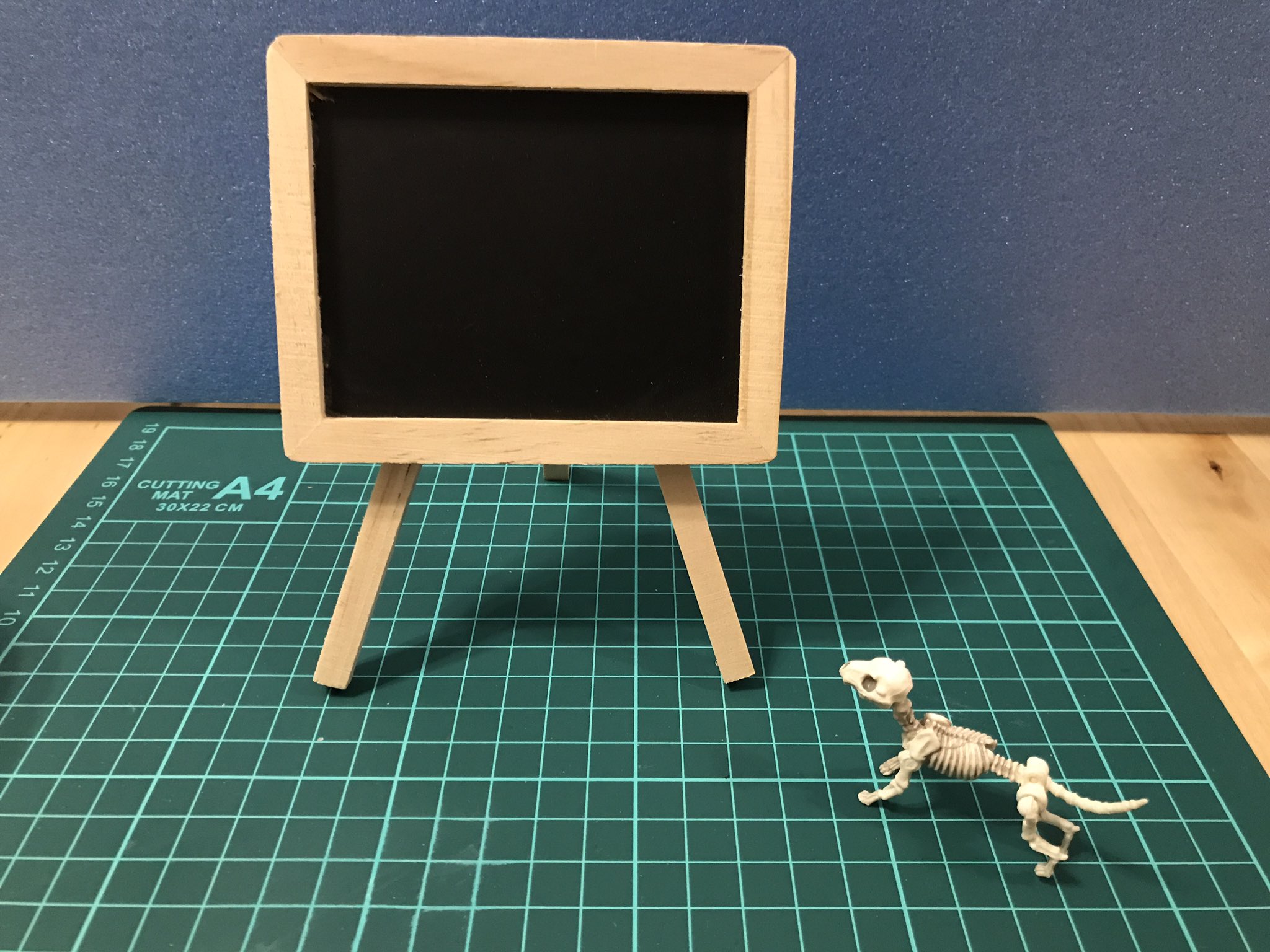 アボカド Ar Twitter ダイソーでミニ黒板買ってきた٩ W و ダイソー