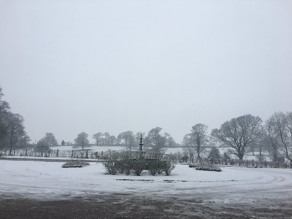 Emma_ResTeam tweet media