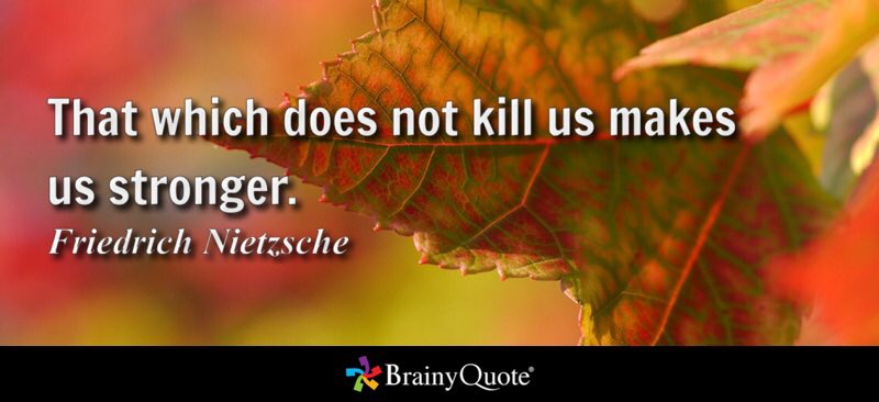 Champutee.eth tweet media