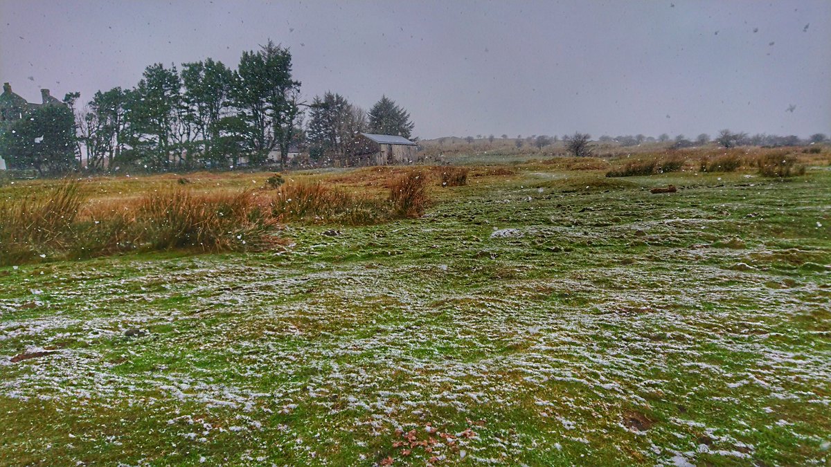 callmejonny's tweet photo. Settling snow nr Minions, Liskeard, Cornwall. #snowatlast
@PlymouthHerald @HeartCornNews @piratefm @itvwestcountry @BBCSpotlight #Cornwall #snowway https://t.co/H26XqdyOX8