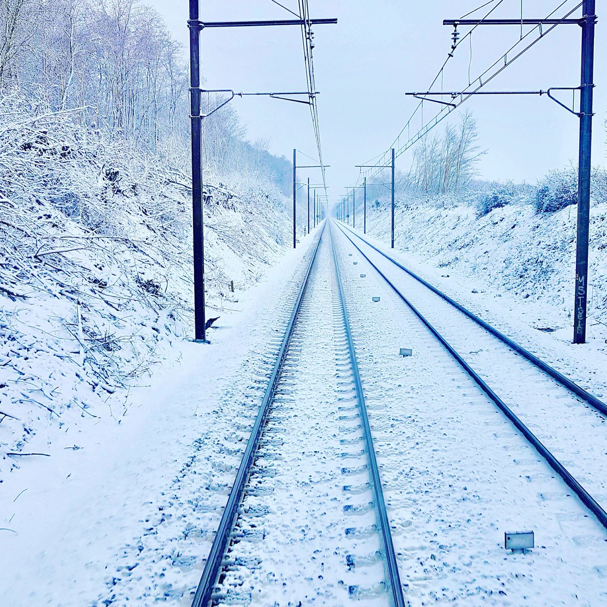 Les 4 saisons de la <a href="/lignesNetU_SNCF/">Lignes N et U</a> 🌸☀️🍂❄️ entre Fontenay le Fleury et Villepreux les Clayes 😊 #photoSNCF 
(Tweet que j’attendais de faire depuis longtemps !) 
#MonconducteurNetU 
#printemps #été #automne #hiver