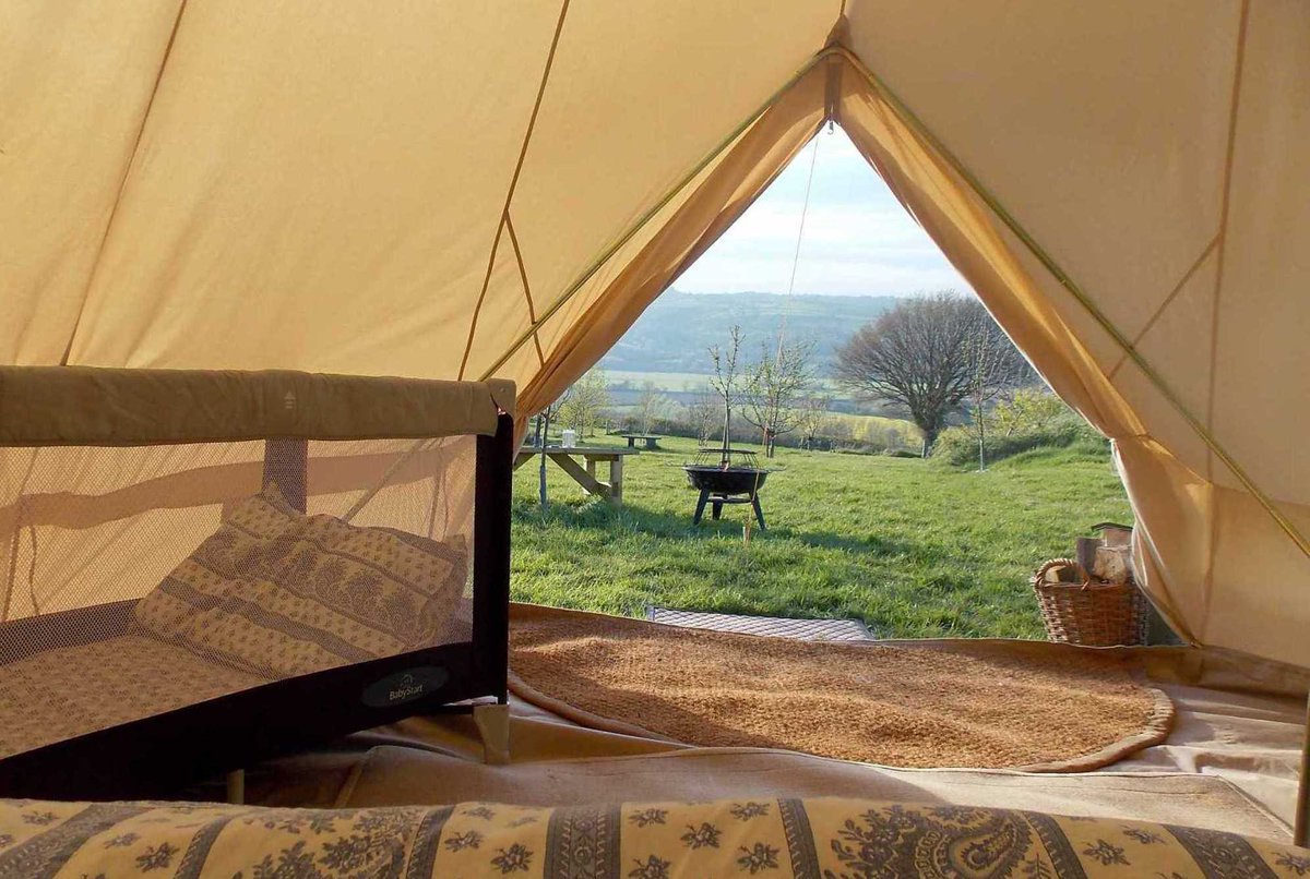 Tim & Véronique tweet media