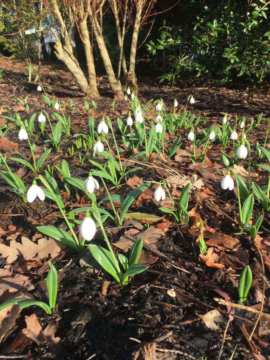 Hole Park Gardens tweet media