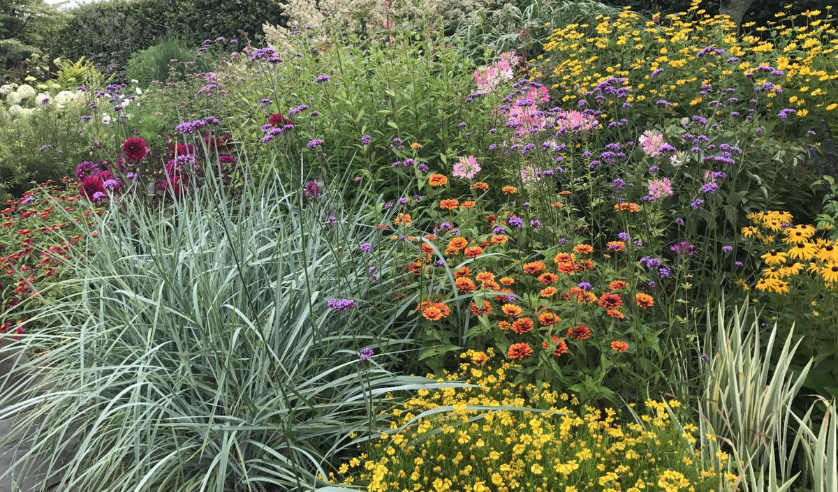 I'll be at the Boston Flower Show 3:30pm on Mar 17th giving a slideshow on pairing plants in the garden. Come by and say hi! <a href="/bosflowershow/">Boston Flower Show</a> #gardening #gardendesign #plantcombos #DesignYourGardenToolkit #BostonFlowerShow