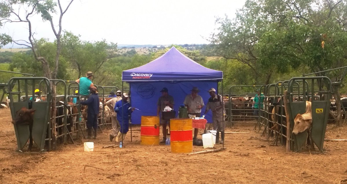 @stockfarmmag tweet media