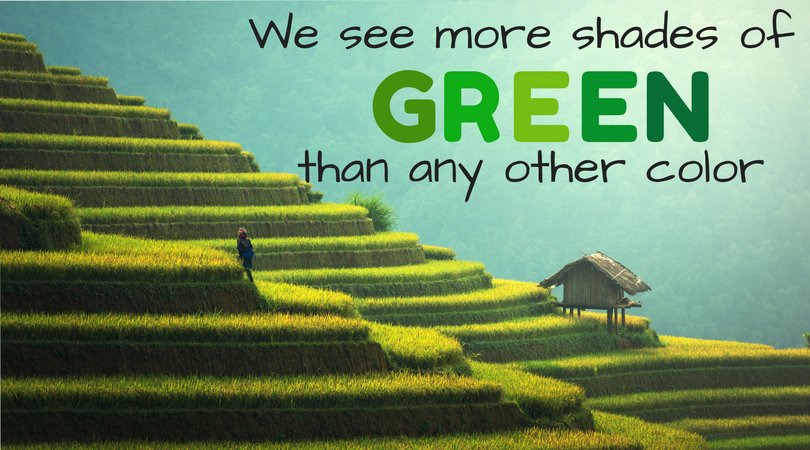 Turns out the grass is only greener on the other side to us humans.