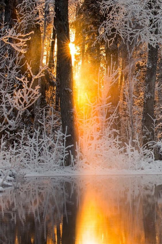 Красоты России (@krasoti_rossii) on Twitter photo 