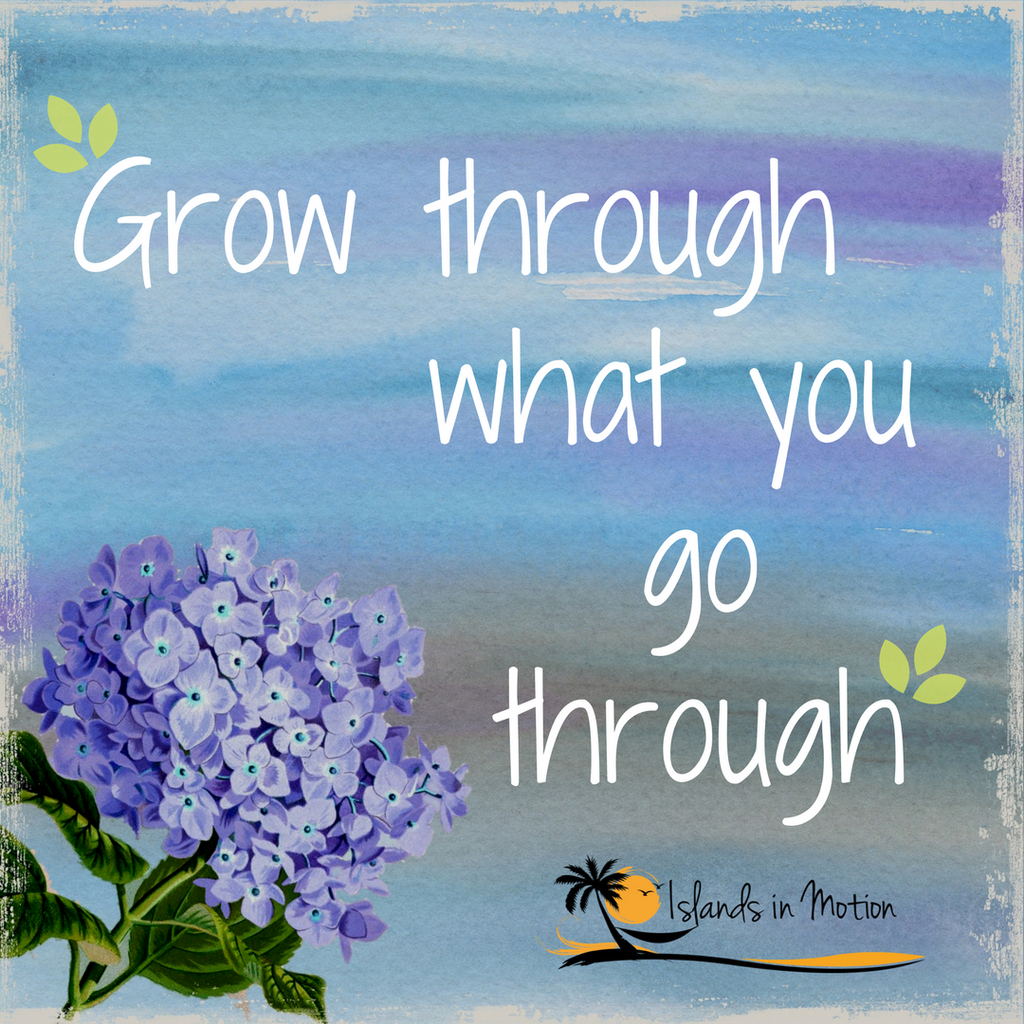 IslandsnMotion's tweet photo. #IslandsinMotion #quote #quoteoftheday #grow #lovelife #grow #motivational #inspirational https://t.co/iNXnVhXs1V