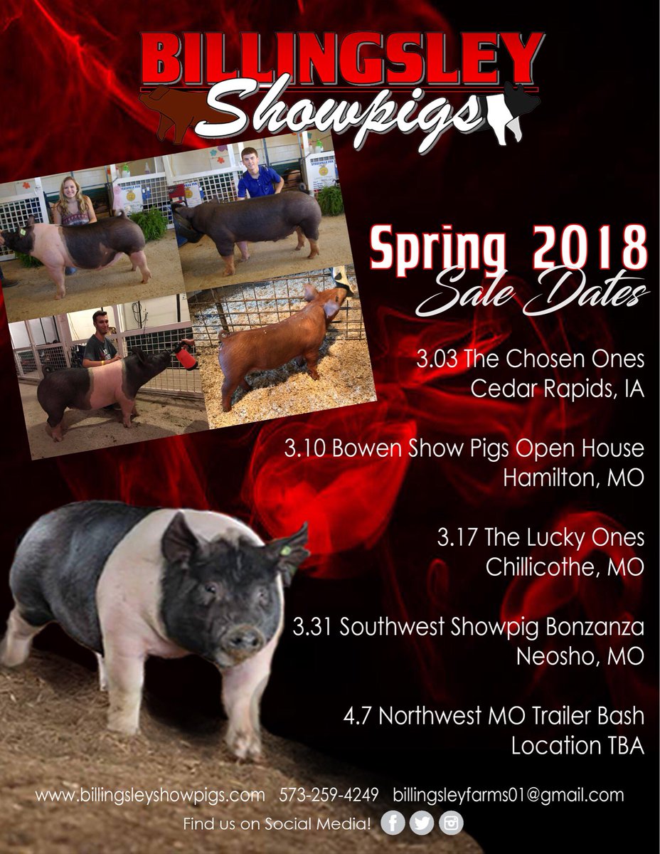 lbshowpigs's tweet photo. Check us out at one of these exciting sales this spring! Let us know if you have any questions! #ShowSeason2018 #Showpigs https://t.co/nVn4tFCHci
