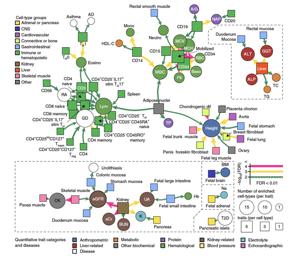 Eric Topol (@erictopol) on Twitter photo What do you get when you assess 58 quantitative traits in 162K people?
nature.com/articles/s4158… <a href="/NatureGenet/">Nature Genetics</a>
Utter complexity ;-) What do you get when you assess 58 quantitative traits in 162K people?
nature.com/articles/s4158… <a href="/NatureGenet/">Nature Genetics</a>
Utter complexity ;-)
