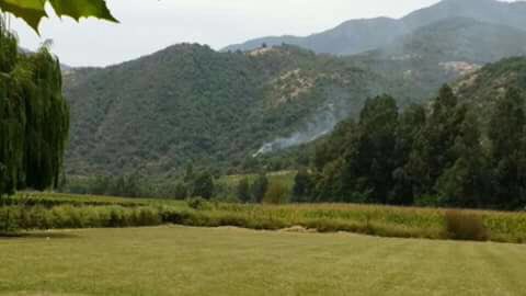 caceresapalta's tweet photo. Nuevamente  pretenden incendiar nuestro bosque nativo en Apalta #AltoAlFuego  #piromanos https://t.co/SYyW6T8eTf