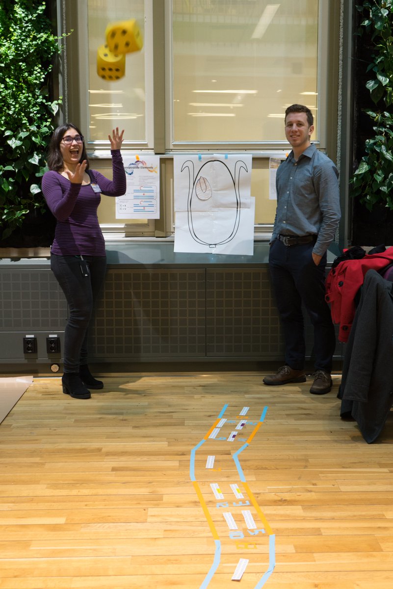 DanielTamarit's tweet photo. Some pieces of DNA can move around and cause different effects. At ‘Jumping and Rolling for diversity’, @mmontonerin Sarina Veldman and Aaron Vogan explain maize color from this fantastic perspective. Come roll the dice and learn about #MobileElements!
https://t.co/HtLoLXkOkP
8/ https://t.co/fKoQRK4RUX