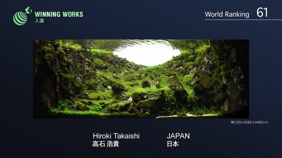 水草レイアウトコンテスト に出品されている作品の奥行感覚がすごすぎる たった45cmになんでこんな奥行が これ水槽なのか Togetter 水草レイアウトコンテスト に出品されている作品の奥行感覚がすごすぎる たった45cmになんでこんな奥行が これ水槽なのか Togetter