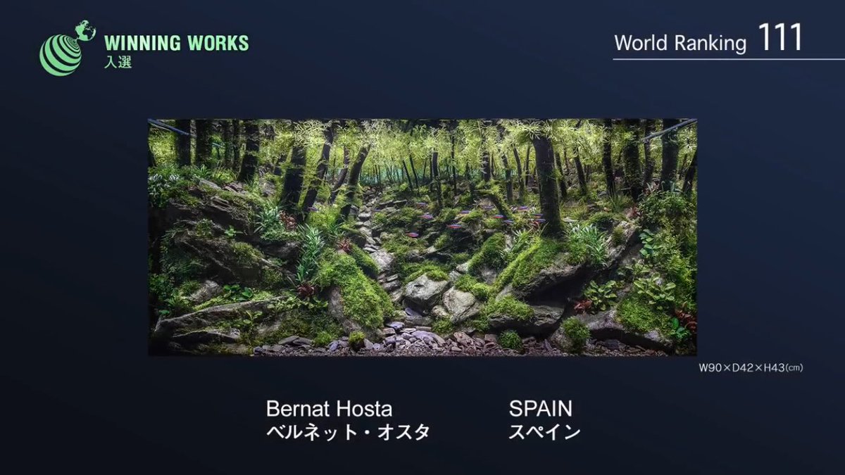 水草レイアウトコンテスト に出品されている作品の奥行感覚がすごすぎる たった45cmになんでこんな奥行が これ水槽なのか Togetter 水草レイアウトコンテスト に出品されている作品の奥行感覚がすごすぎる たった45cmになんでこんな奥行が これ水槽なのか Togetter