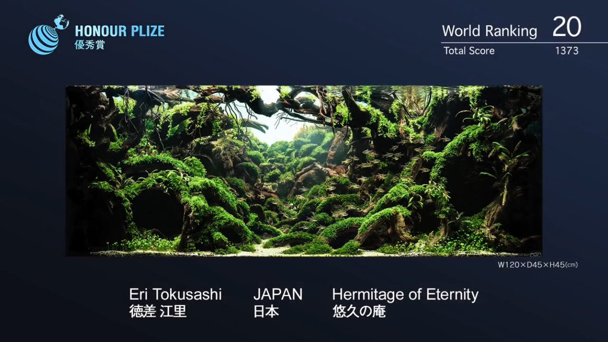 水草レイアウトコンテスト に出品されている作品の奥行感覚がすごすぎる たった45cmになんでこんな奥行が これ水槽なのか Togetter 水草レイアウトコンテスト に出品されている作品の奥行感覚がすごすぎる たった45cmになんでこんな奥行が これ水槽なのか Togetter