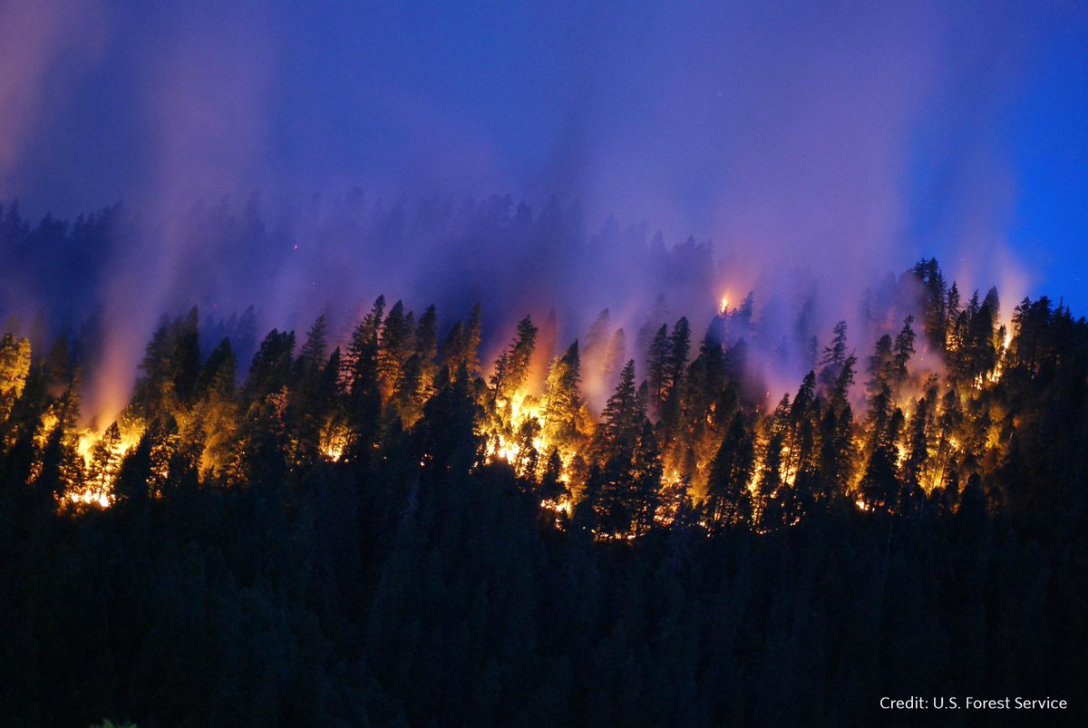 HelenTaylor_TNC's tweet image. Congress can help reduce megafire risk by investing in #forest restoration. How? Pass a #FireFixNow. Blog from @nature_org explains: bit.ly/2wQUWnm