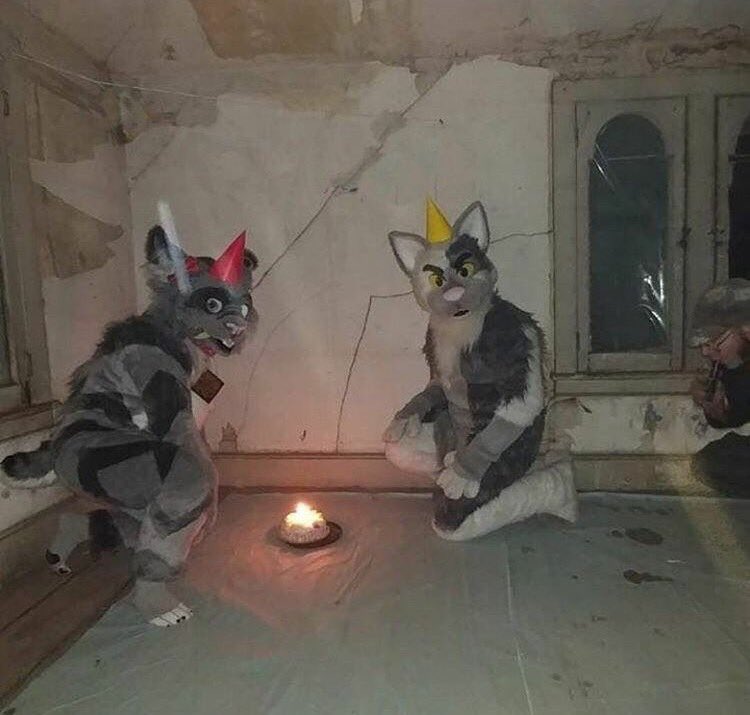 $tephany tweet media