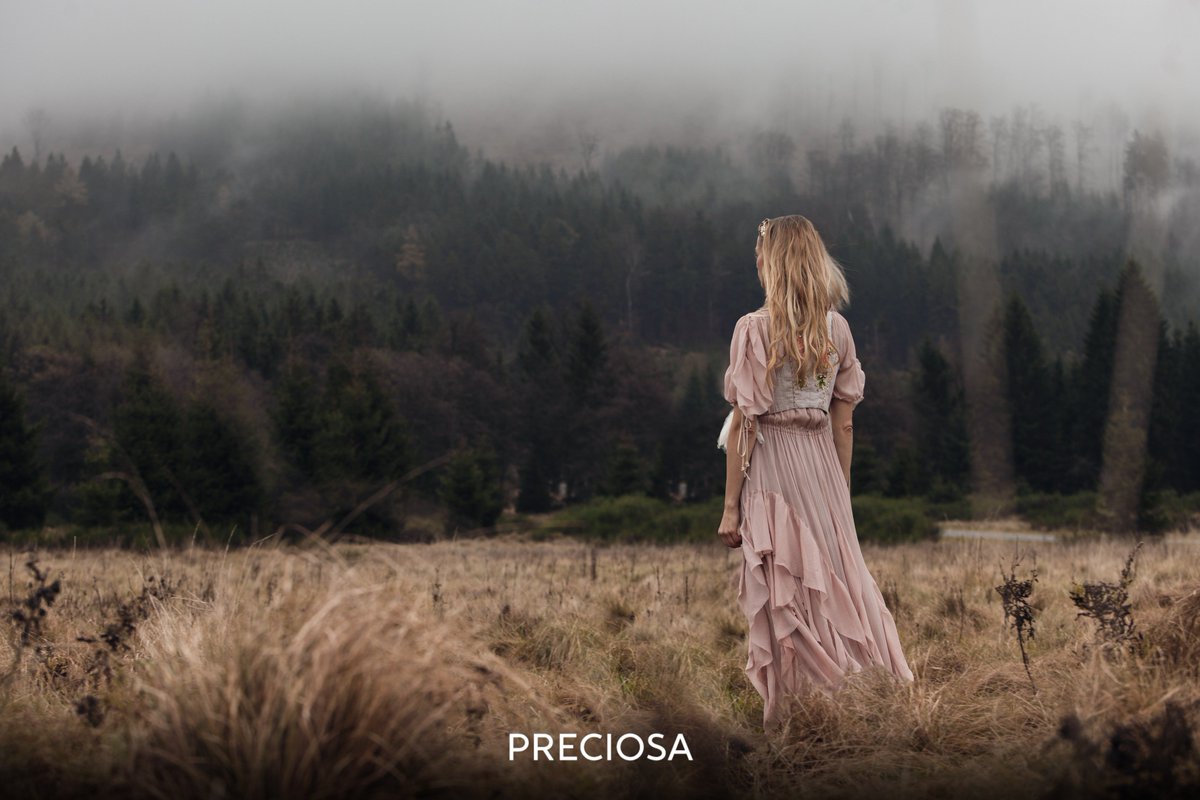 PreciosaComponents tweet media