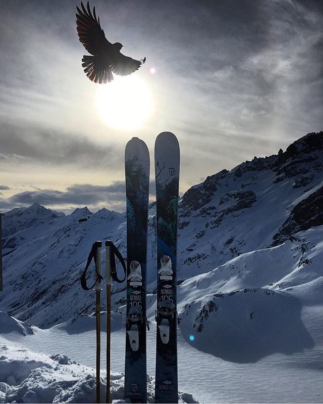 Magic abounds. Keep your eye on the prize... Repost: @scottyvermerris #PandaPoles #Skiing