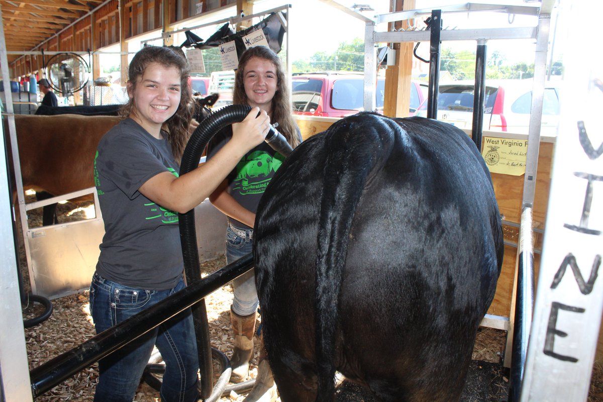 WVDeptofAg's tweet photo. Fun Farm Fact: Women own about 19% of WV farms. The good news -- 46% of current @WestVirginiaFFA members are young ladies! The future looks bright for WV's female farmers! @WVUExtension @WVFarmBureau @_WVFMA @wvfood https://t.co/NqaJVkym7V